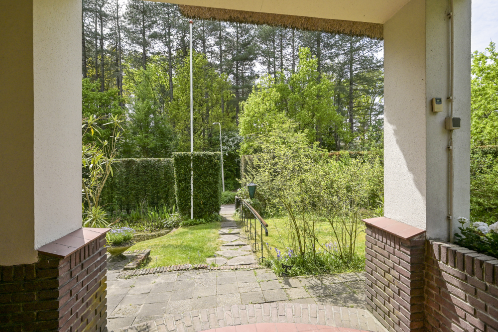 Foto 43 1000w