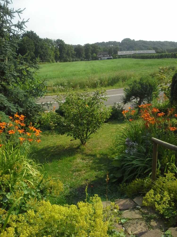 Foto 38 1000w