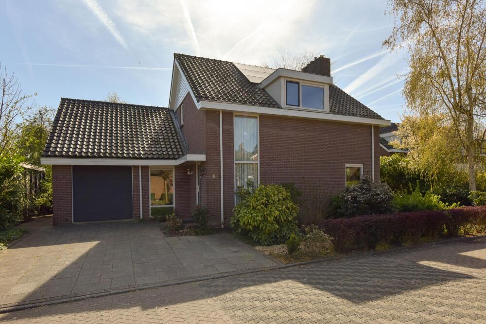 Foto 2 1000w