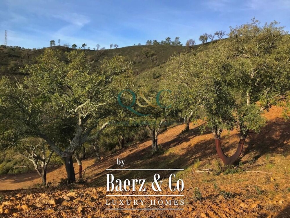 Beautiful luxury home in São Brás de Alportel, Bico Alto image