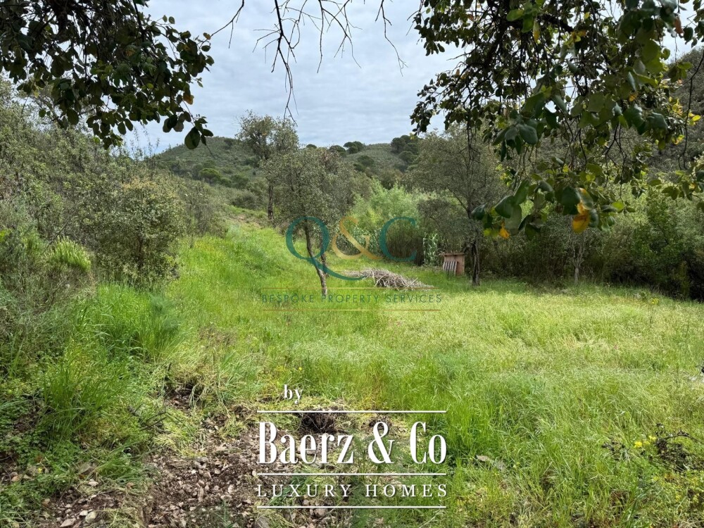 Beautiful luxury home in São Brás de Alportel, Bico Alto image