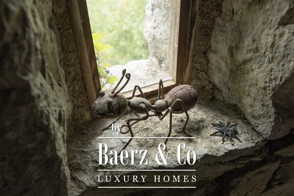 photo 40 Ballintotis Castle