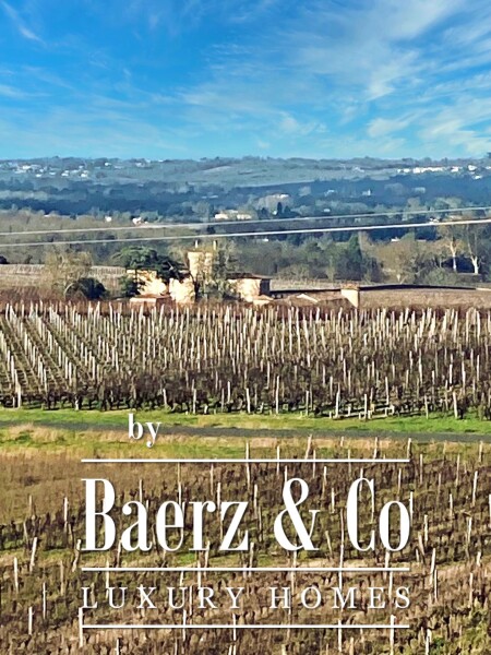 photo 35 WINE CHATEAU, BORDEAUX, SAUTERNES, UNIQUE PANORAMIC VIEW