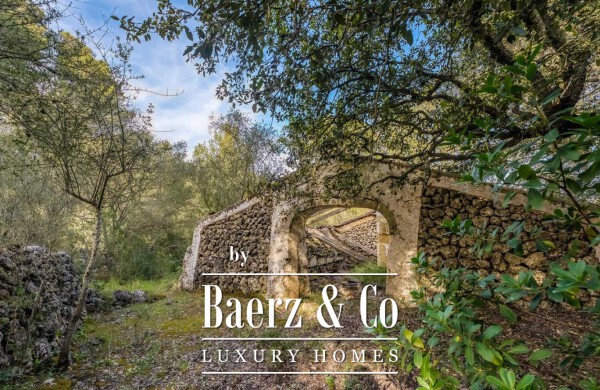 photo 18 BEAUTIFUL RURAL ESTATE IN ALAIOR