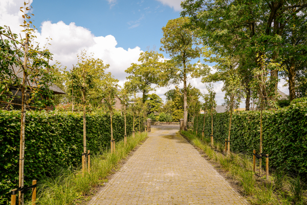 photo 36 Kerkstraat 19