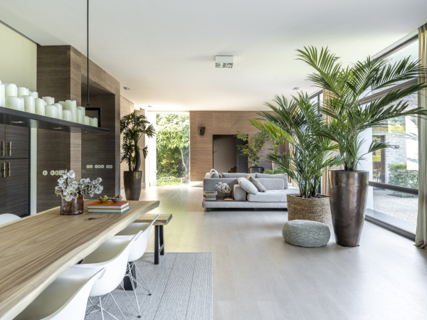 photo 16 Duivelsbruglaan 12