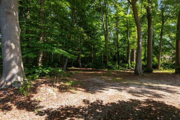 photo 60 Zutphenseweg 20