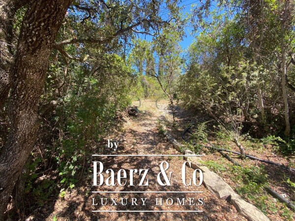 photo 8 Beautiful luxury home in Santa Bárbara de Nexe, Countryside