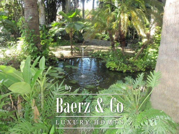 photo 14 A piece of art in the city.  A private enclave in premium neighborhood