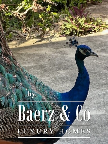 photo 36 Hacienda San Jose Pachul - Spa/retreat on the way to the beach