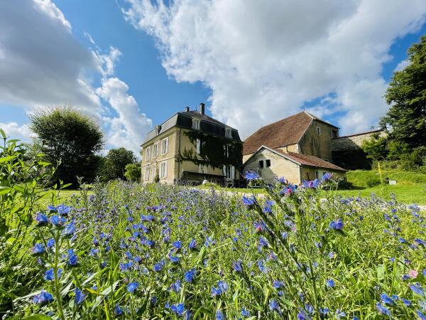 photo 4 Chateau de Faverolles 