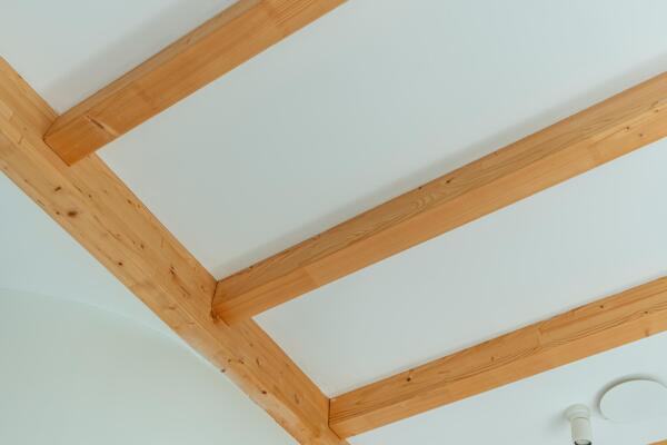 photo 26 Solitudolaan 408