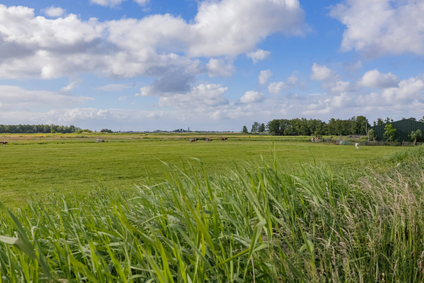 photo 64 Nassaulaan 12