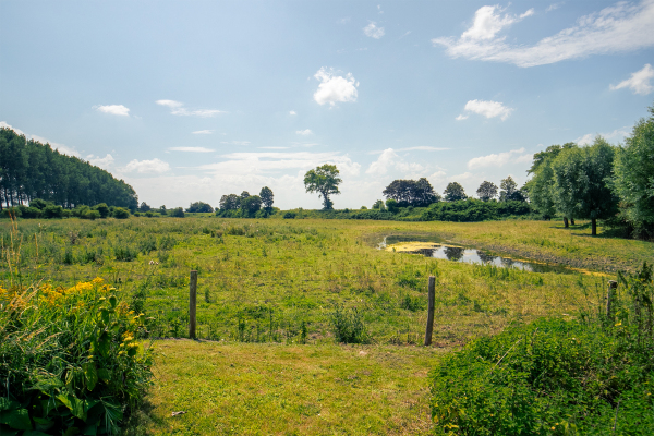 photo 51 Killedijk 16