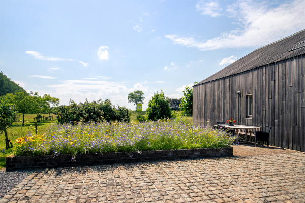 photo 53 Killedijk 16