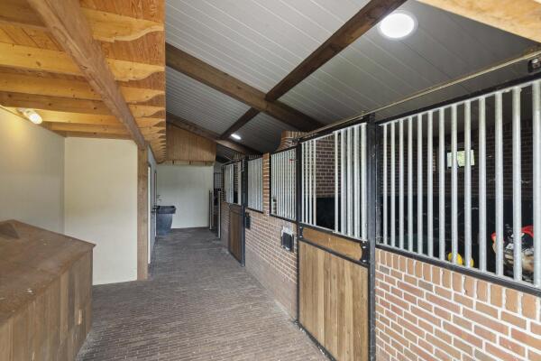 photo 90 Dennendijk 6