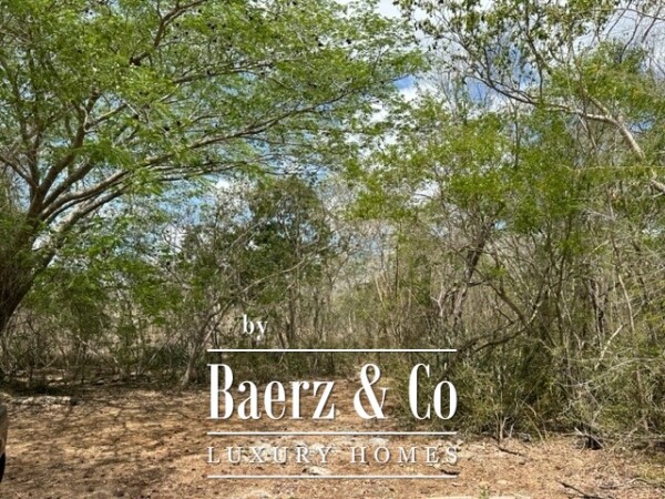 photo 2 Sudzal carretera a Tzalam, Km 7 