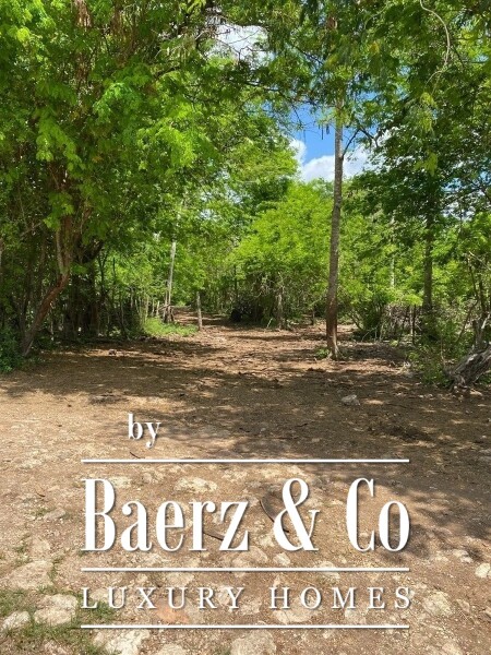 photo 37 Street 24 x 29 