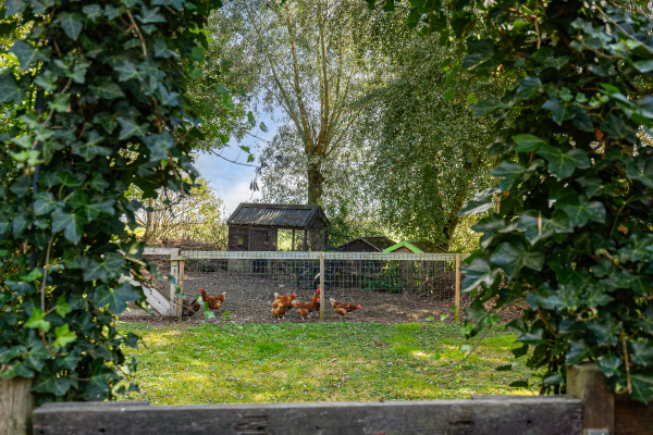 photo 44 Soarremoarre 1