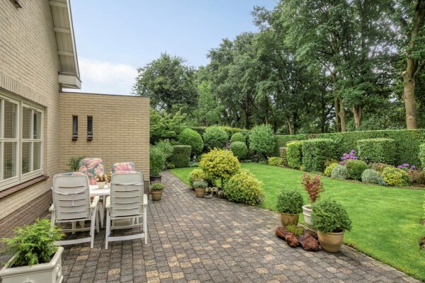 photo 40 Bilzekruid 11