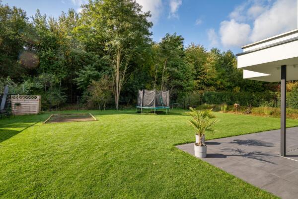 photo 32 Koningskaars 20