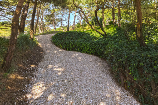 photo 78 Dennenweg 8