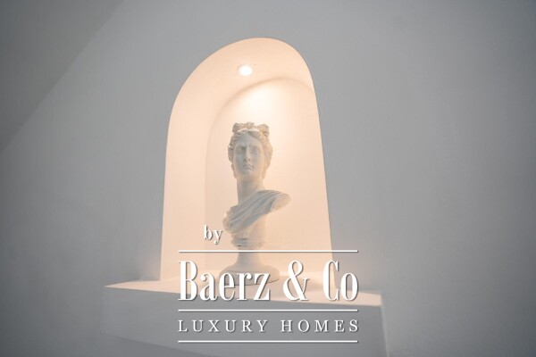 photo 4 Vukovar, Mitnica, for sale, 800 m², business opportunity