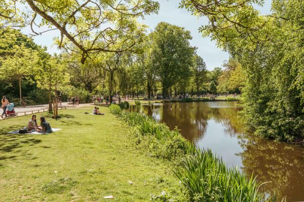 photo 40 Van Baerlestraat 17 3