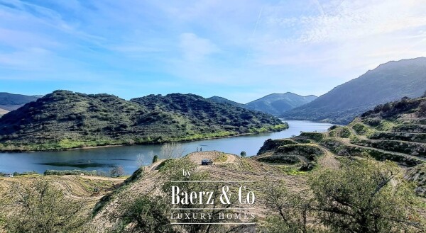 photo 16 Douro Riverfront Almond Estate