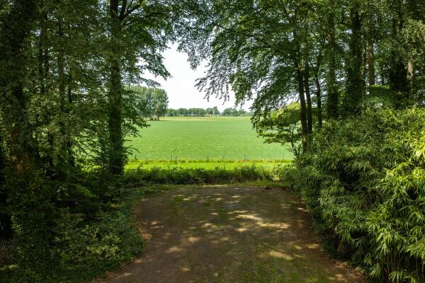 photo 12 Rossweg 3