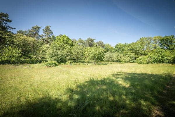 photo 21 Schuttestraat 28