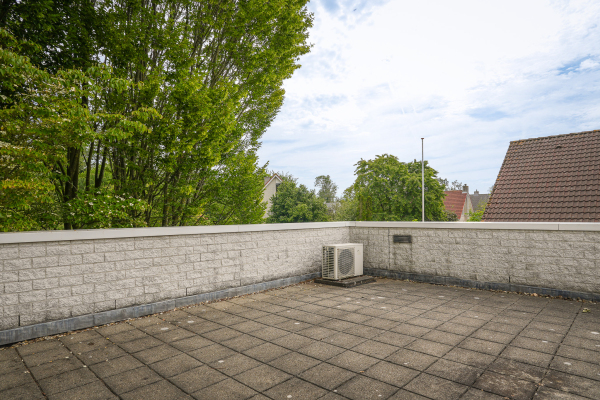photo 50 Groenwal 25