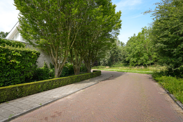 photo 88 Groenwal 25