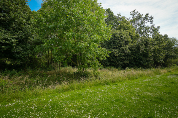 photo 91 Groenwal 25